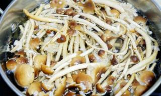 干茶树菇要如何处理好吃 干茶树菇的做法